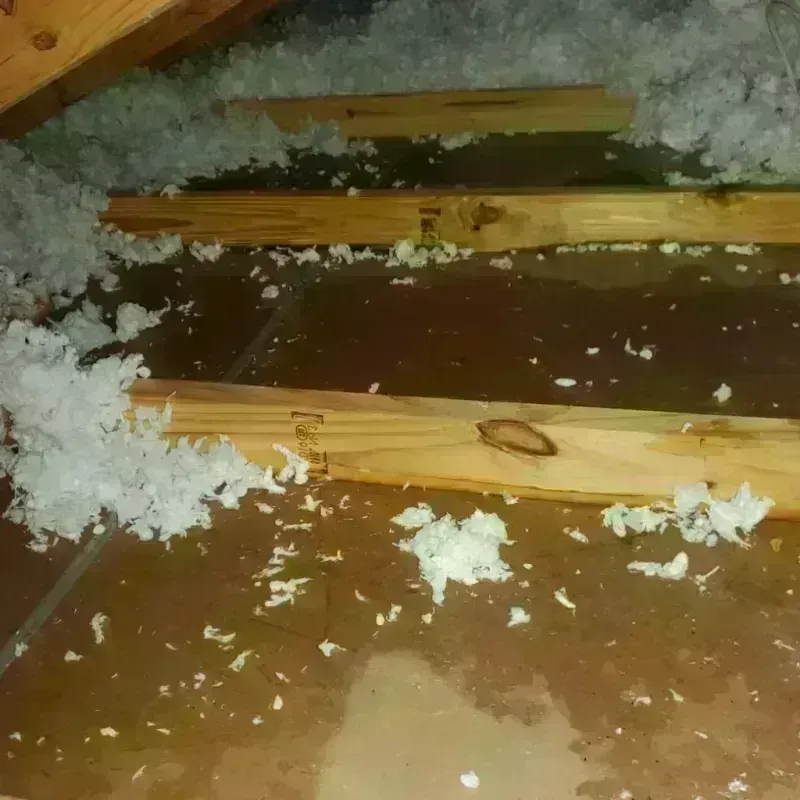 Attic Water Damage in Cumberland, KY